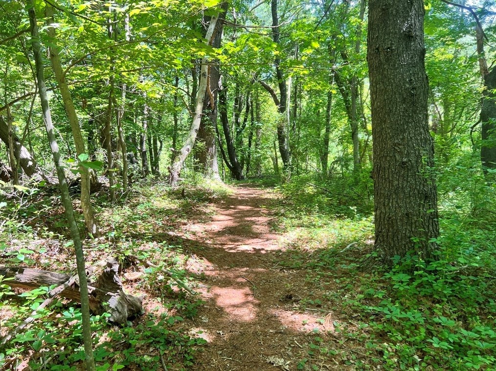 1016 St, East Bridgewater MA 02324-2943 exterior