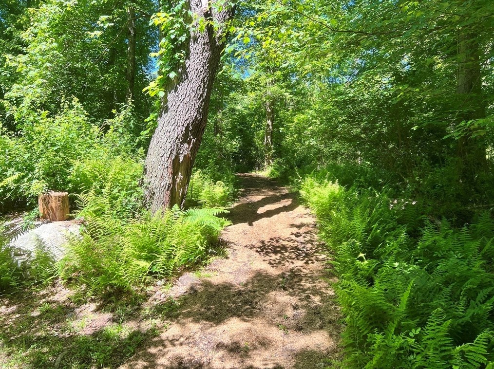 1016 St, East Bridgewater MA 02324-2943 exterior