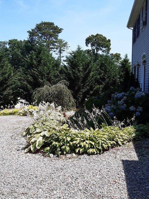 55 Horseshoe Bnd Way, Mashpee MA 02649-4310 exterior