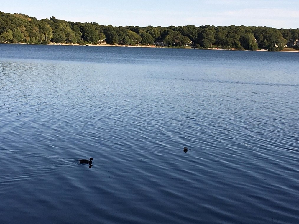 55 Horseshoe Bnd Way, Mashpee MA 02649-4310 exterior