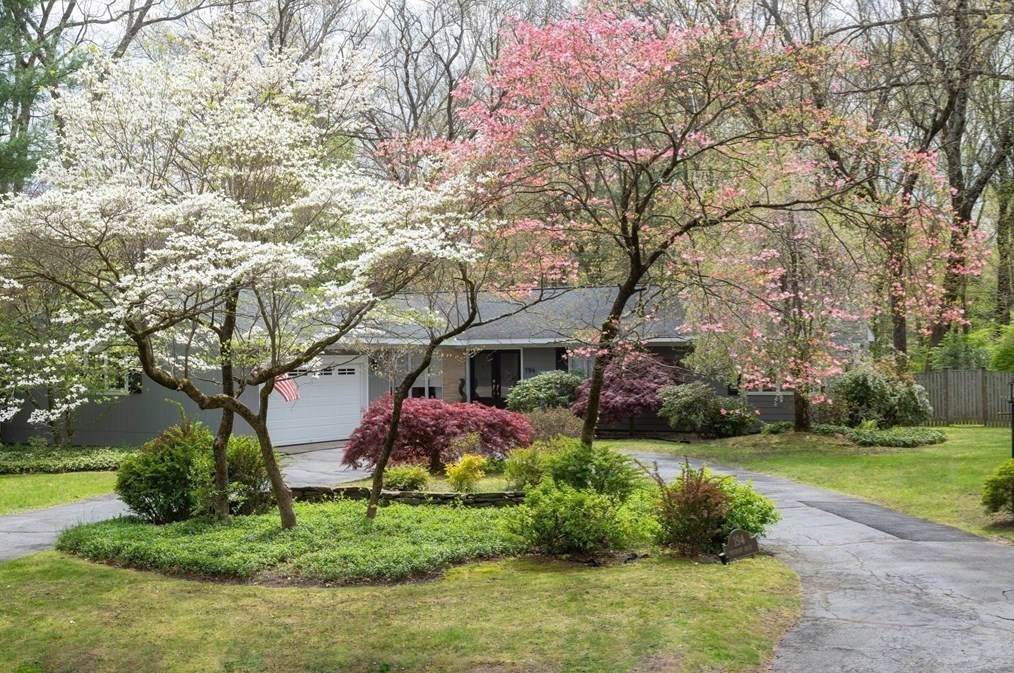 194 Primrose Dr, Springfield, MA 01106