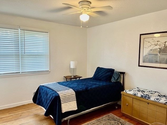 181 Beauchamp Ter, Chicopee MA 01020-2574 exterior