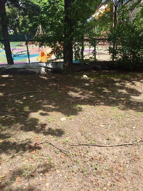 23 Magee St, Cambridge MA  02139-2915 exterior