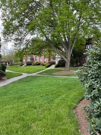 1239 Lawrence St Apt 202, Lowell, MA 01852