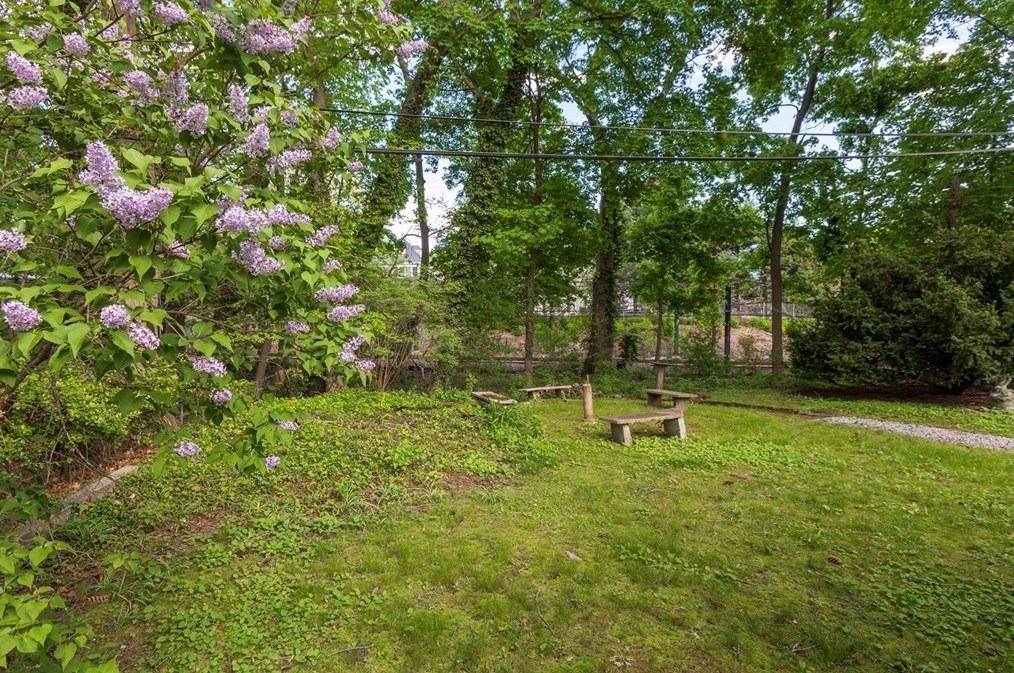 246 Lk Ave, Newton MA 02461-1210 exterior