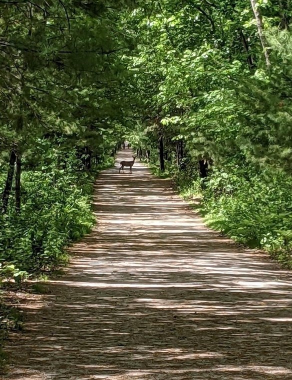 33 Norfolk St, Holliston MA  01746-2006 exterior