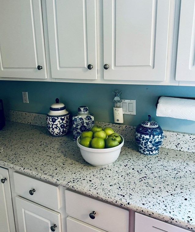 19 Aberdeen Ave, Waltham MA 02453-6885 exterior