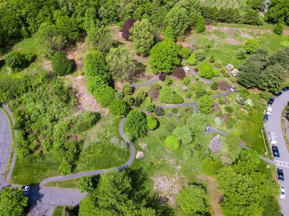 3 Russett Ln, Amherst MA  01002-3350 exterior