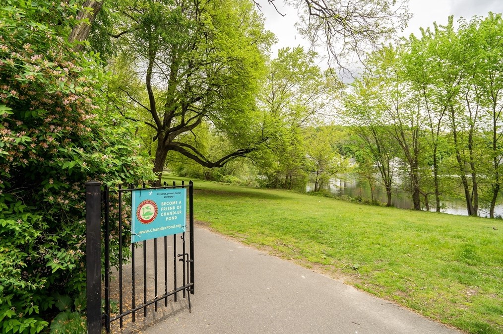 42 Lake Shore Ter, Boston MA exterior