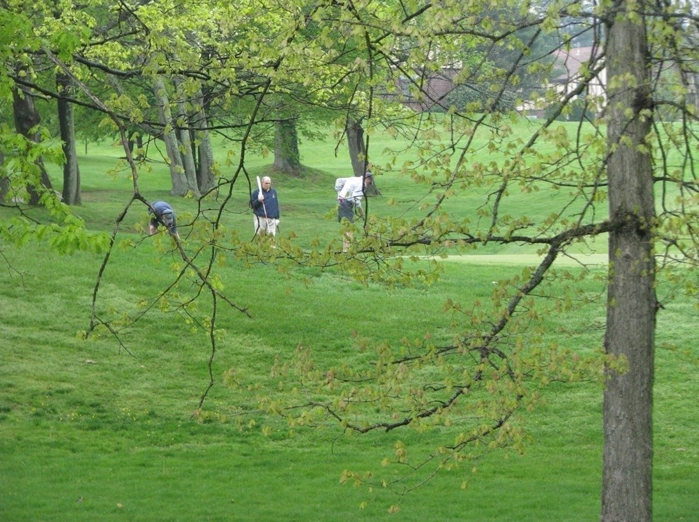 5 Rainbow Pond Dr, Walpole MA  02081-3443 exterior