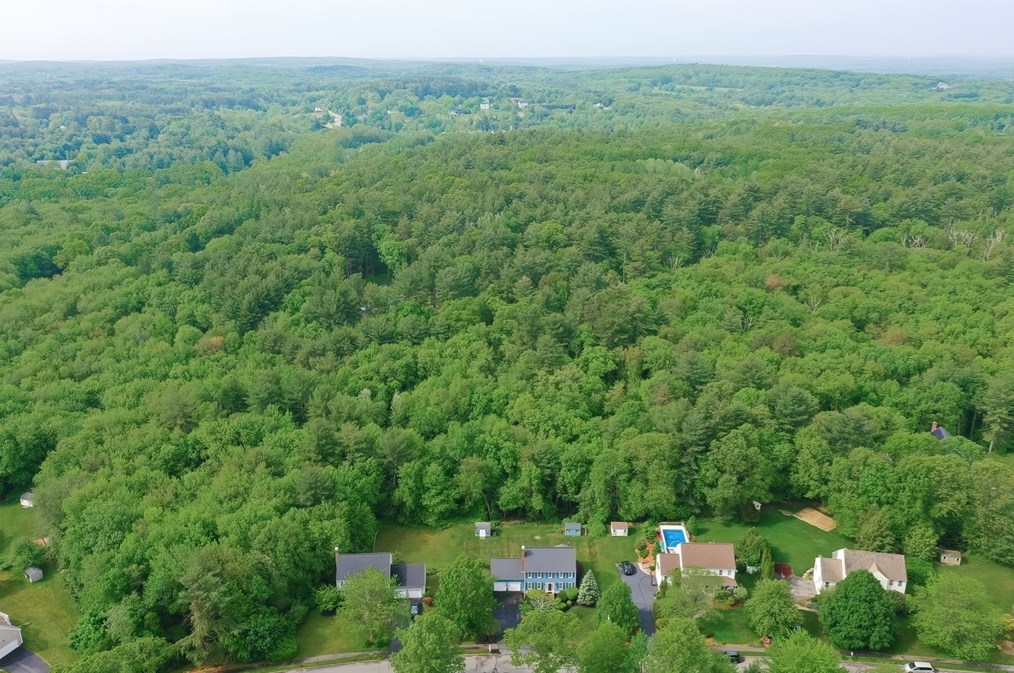 36 Lorraine Metcalf Rd, Franklin MA 02038-3234 exterior