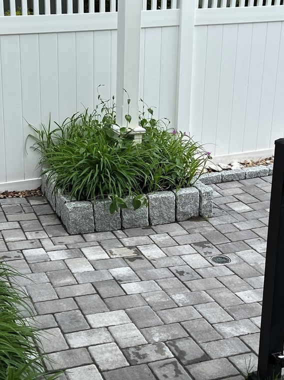 98 Wilson Rd, Nahant MA 01908-1040 exterior