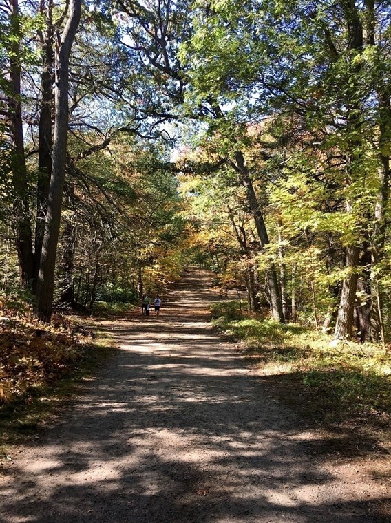 589 Essex St, Lynn MA 01901-1027 exterior