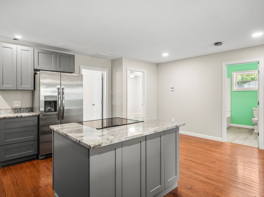 48 Litchfield St, Worcester MA 01603 exterior