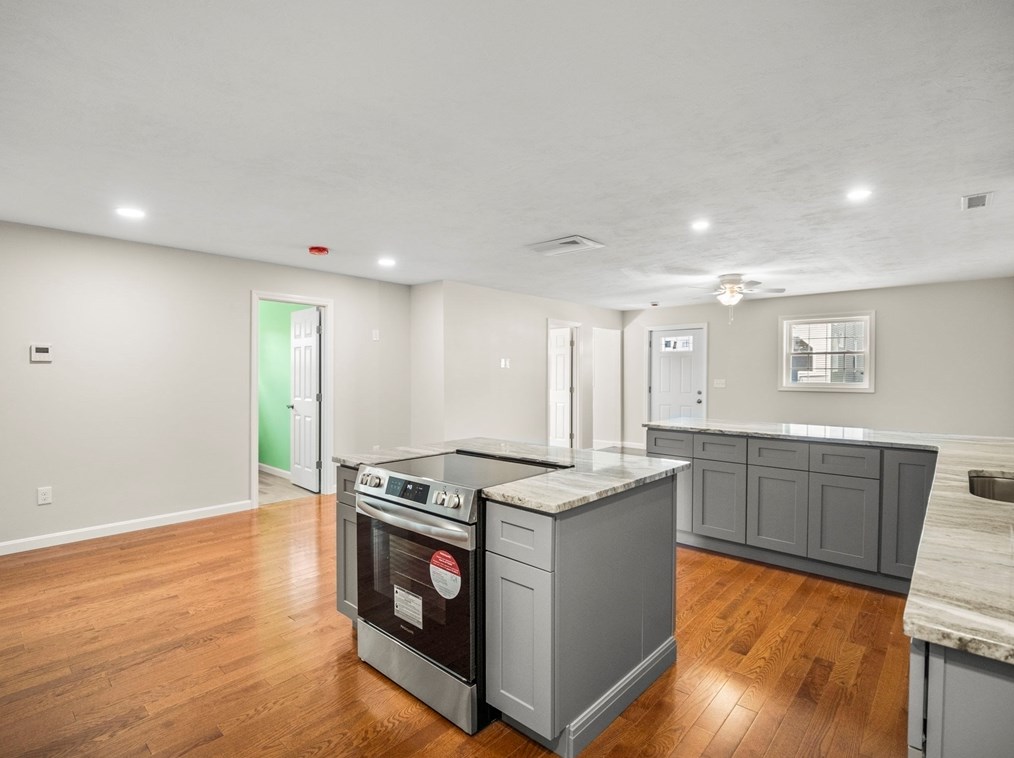 48 Litchfield St, Worcester MA 01603 exterior