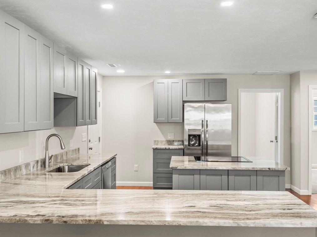 48 Litchfield St, Worcester MA 01603 exterior