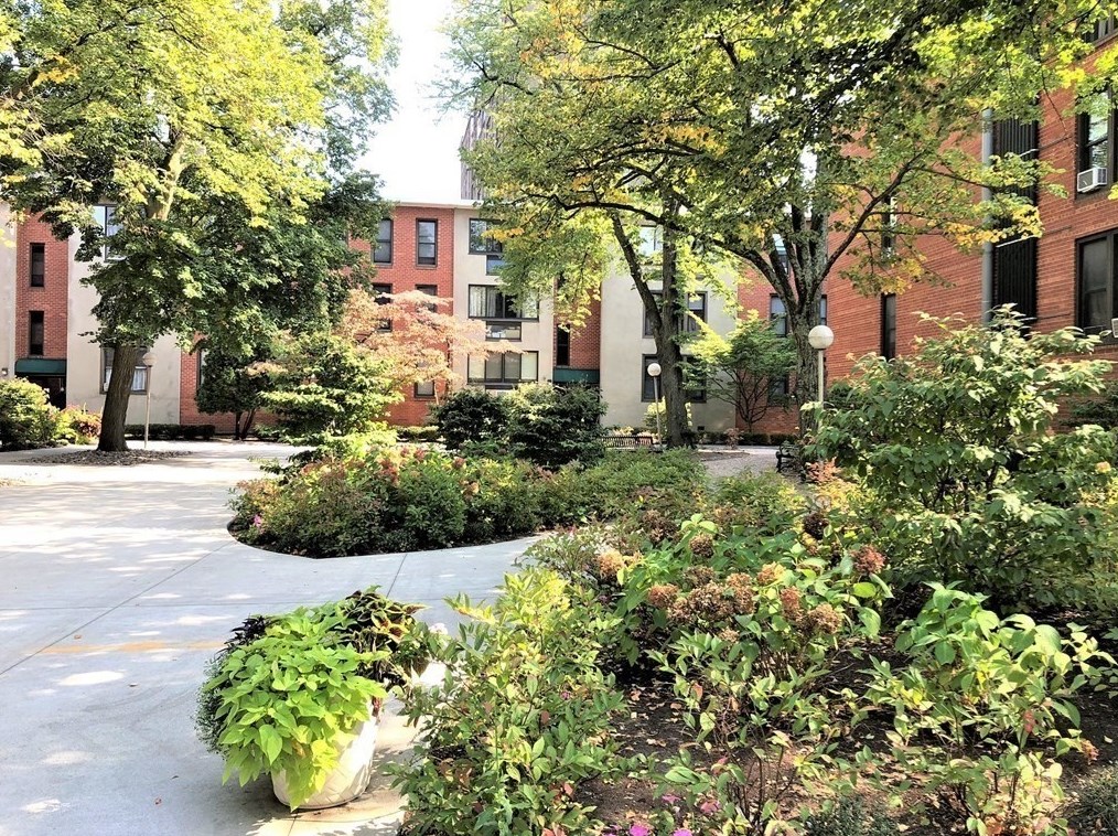 6 Juniper St Apt 4, Brookline, MA 02445