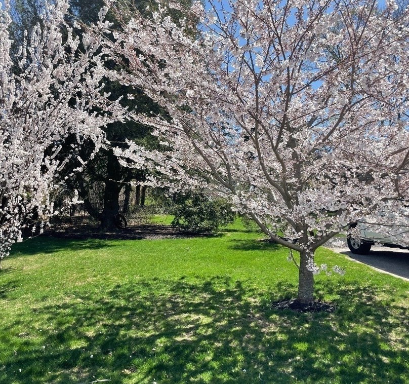 10 Ash St, Cohasset MA 02025-2210 exterior