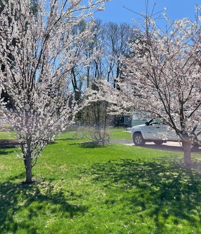 10 Ash St, Cohasset MA 02025-2210 exterior