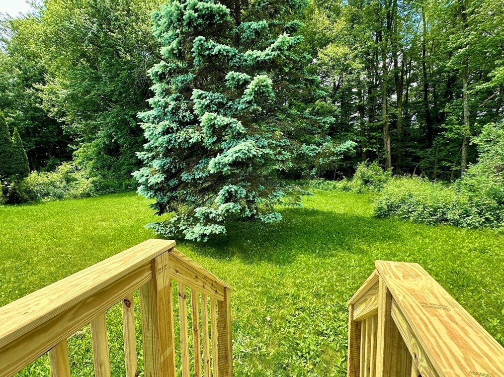 355 Ely Ave, West Springfield MA 01089-2202 exterior