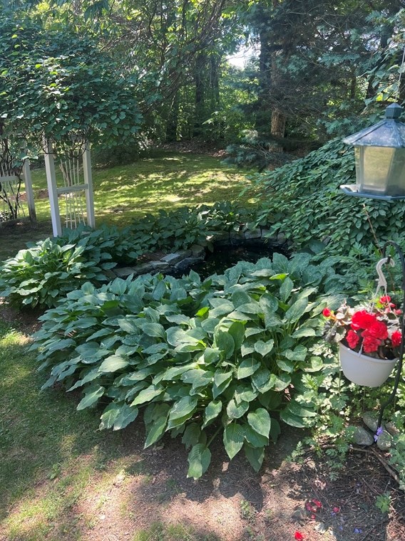 8 Meadowbrook Way, Norfolk MA 02056-1024 exterior