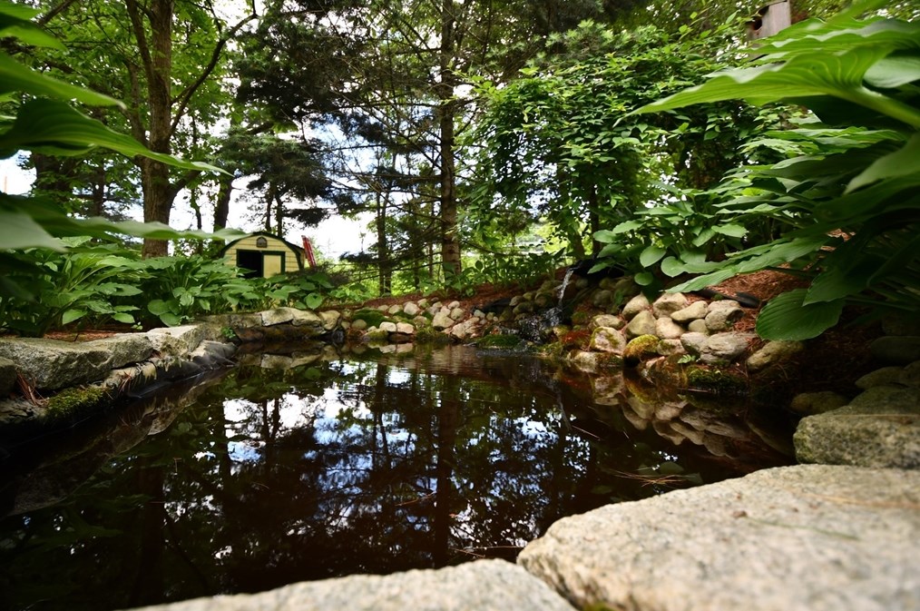 8 Meadowbrook Way, Norfolk MA 02056-1024 exterior