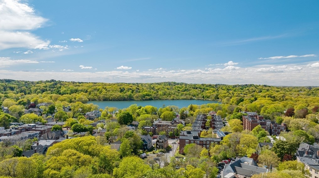 51 Rockview St, Boston MA exterior