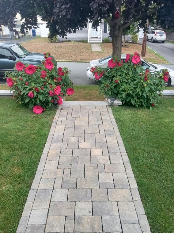 26 Illinois St, New Bedford MA 02745-2514 exterior