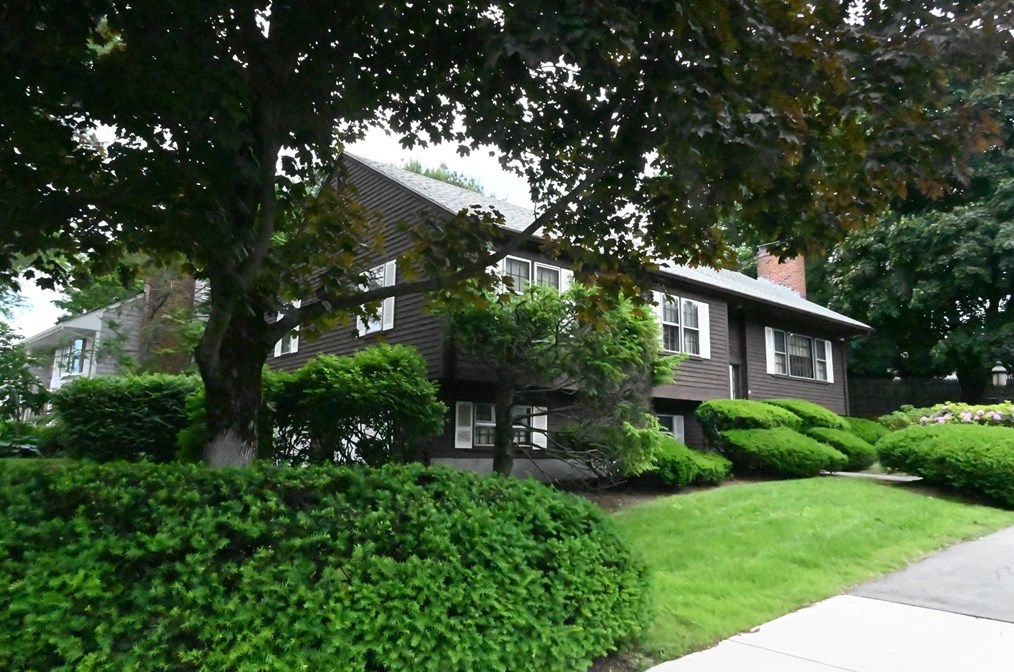 17 Cefalo Rd, Needham, MA 02494-1405