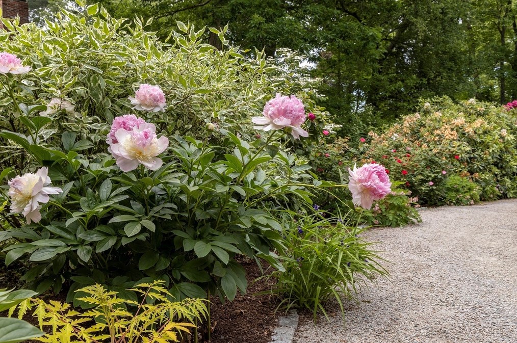 12 Queen Anne Ln, Hingham MA 02043-3904 exterior