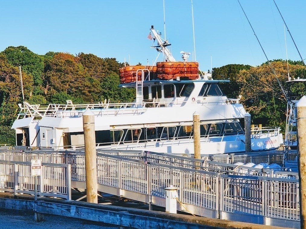 20 Surrey Ln, Harwich MA 02645-3116 exterior