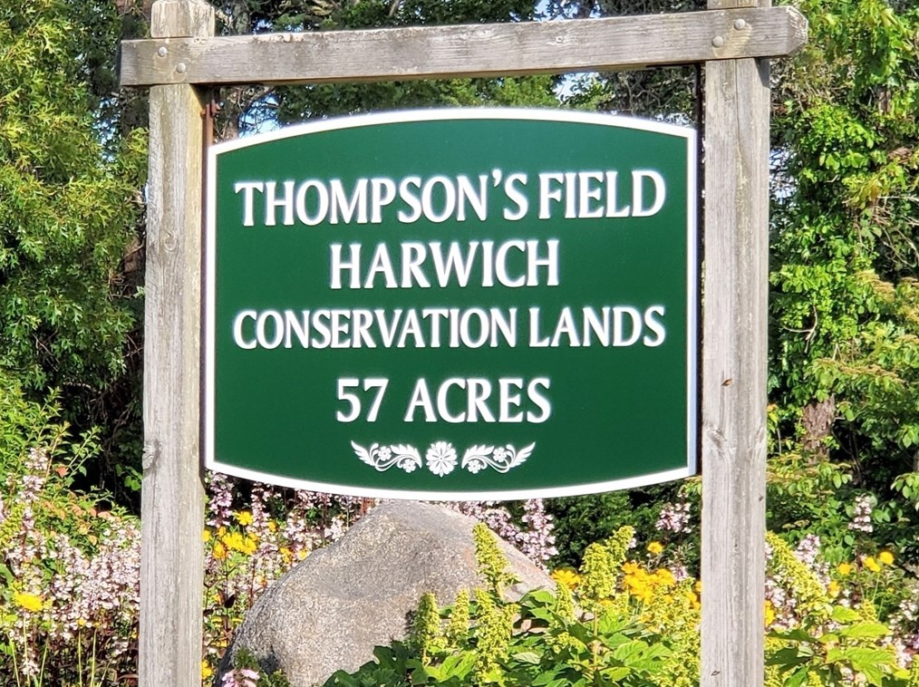 20 Surrey Ln, Harwich MA 02645-3116 exterior