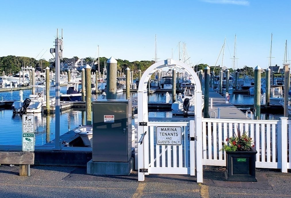 20 Surrey Ln, Harwich MA 02645-3116 exterior