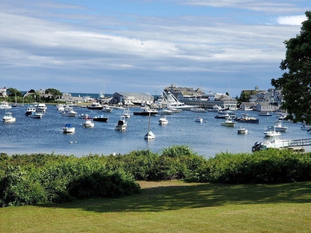 20 Surrey Ln, Harwich MA 02645-3116 exterior