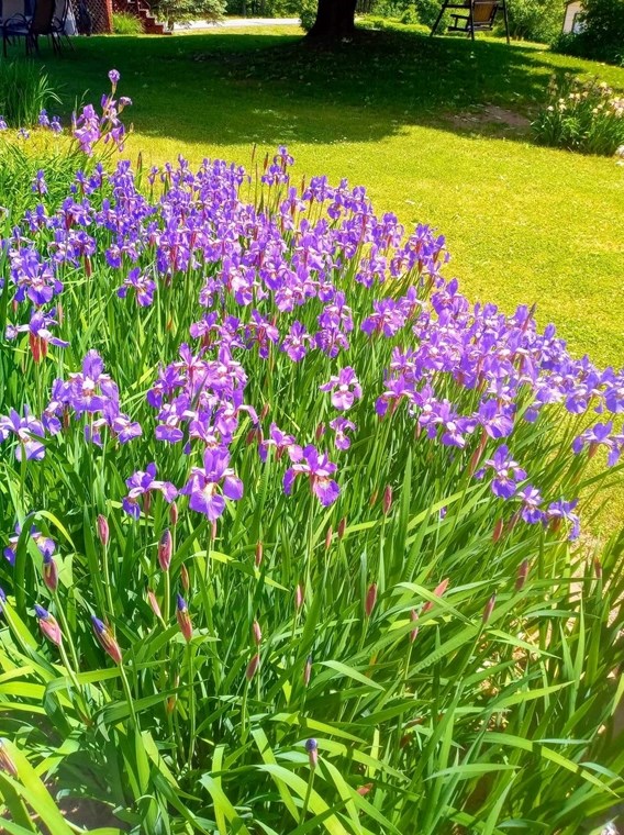 39 Washington Ave, Royalston MA 01331-9552 exterior