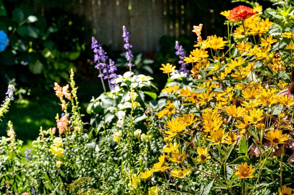 160 Abbott St, Springfield MA  01118-1601 exterior