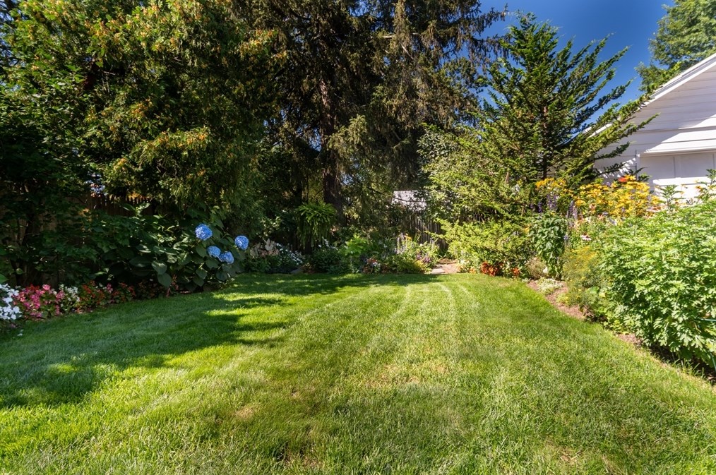 160 Abbott St, Springfield MA  01118-1601 exterior