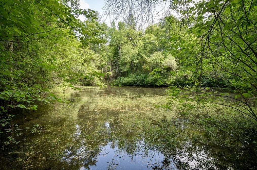 147 Adams St, Holliston MA 01746-1469 exterior