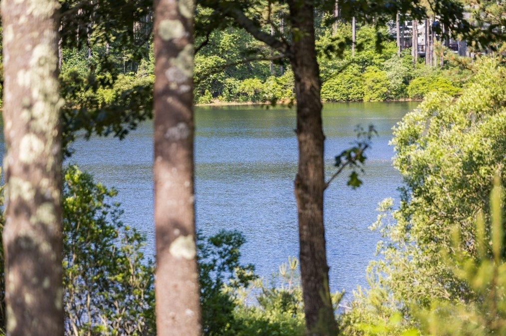 23 Maplewood, Plymouth, MA 02360