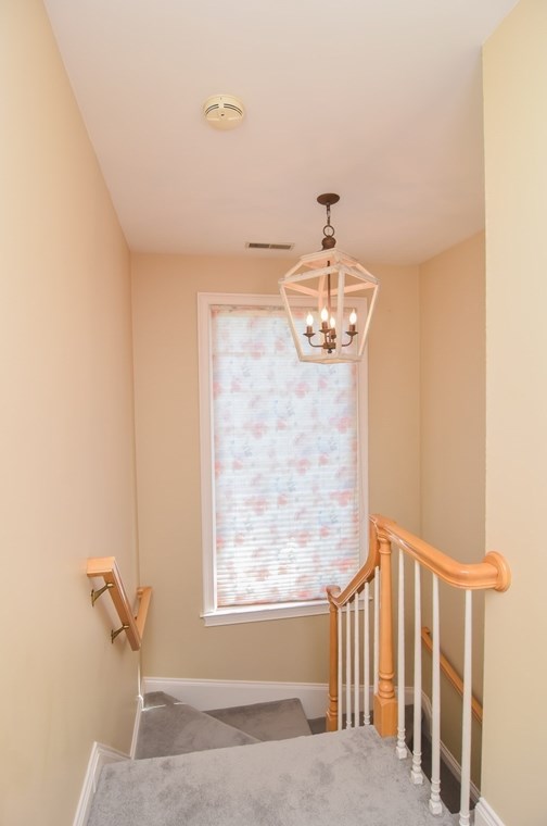 5 Basswood Ln, Andover MA  01810-5883 exterior