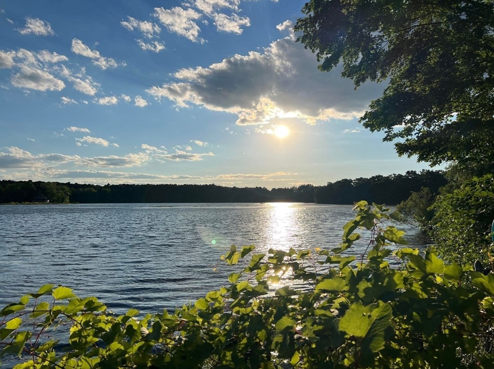 80 Pine Grove St, Springfield, MA 01119