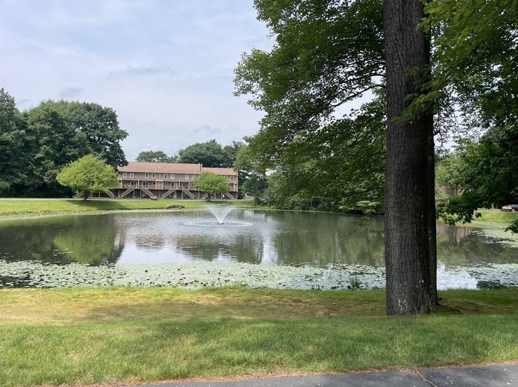 119 Heritage Dr Unit 119, Tewksbury, MA