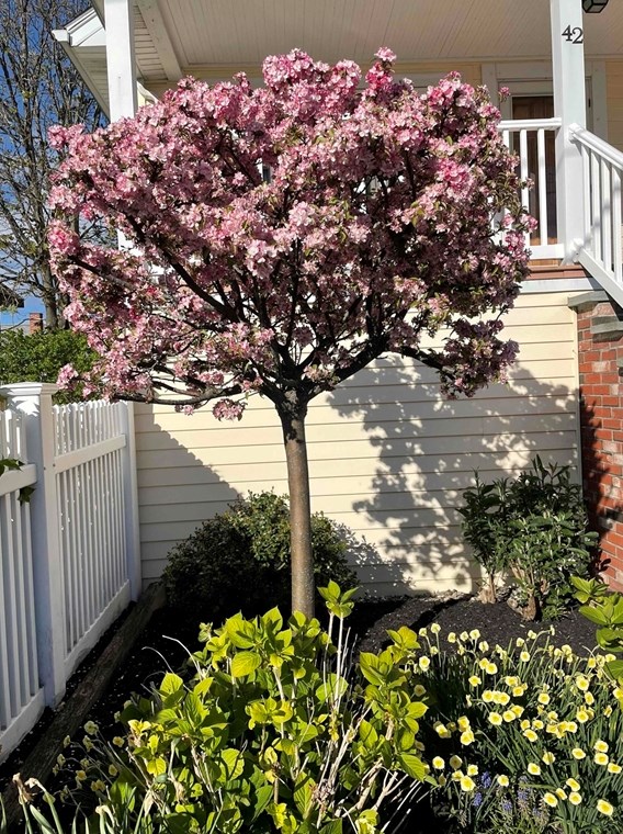 42 Massasoit Ave, Hull, MA 02045