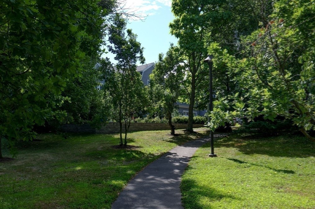 269 Watertown St, Newton MA  02458-1356 exterior