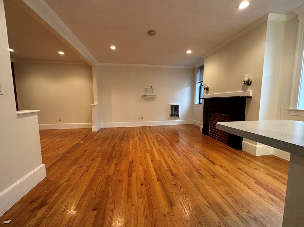 674 Tremont St #br, Boston, MA 02118