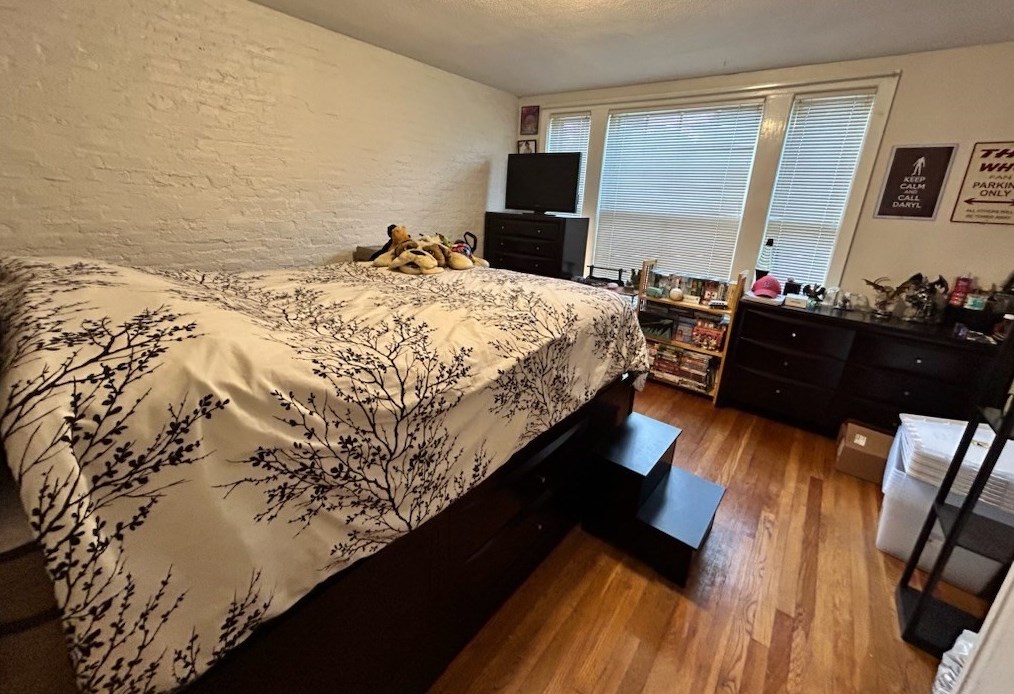 294 Tremont St #1, Newton, MA 02458