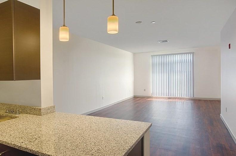 120 Pleasant St #207, Watertown, MA 02472