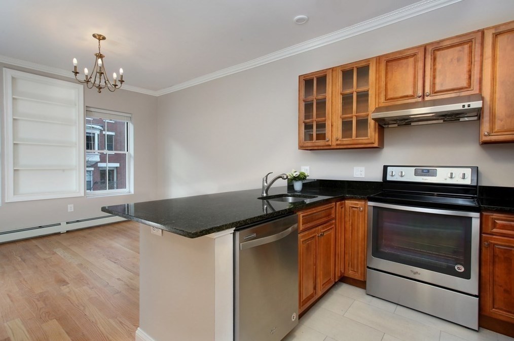 205 W Springfield St #3, Boston, MA 02118
