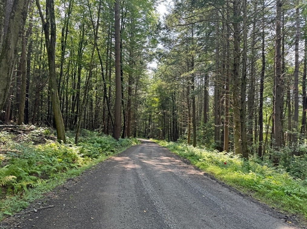 33 Fisher Rd, Gill, MA 01360