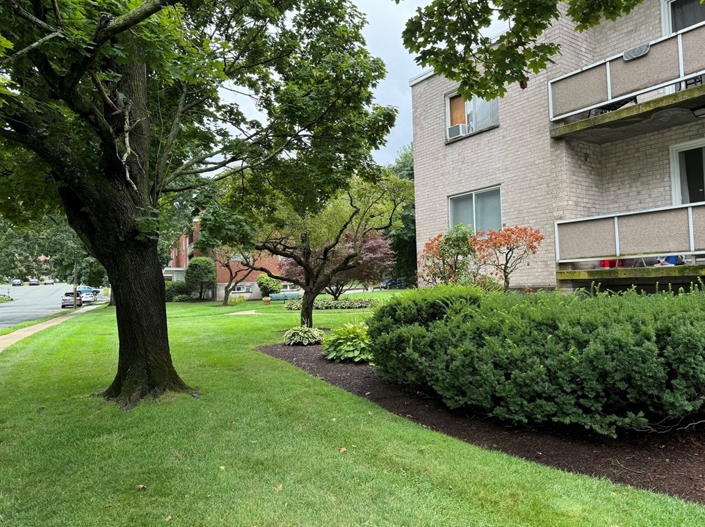 41 Lionel Ave #b, Waltham, MA 02452